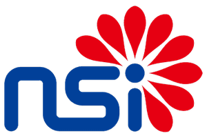 NSI (Ningbo Semiconductor International / SMIC Ningbo) foundry logo
