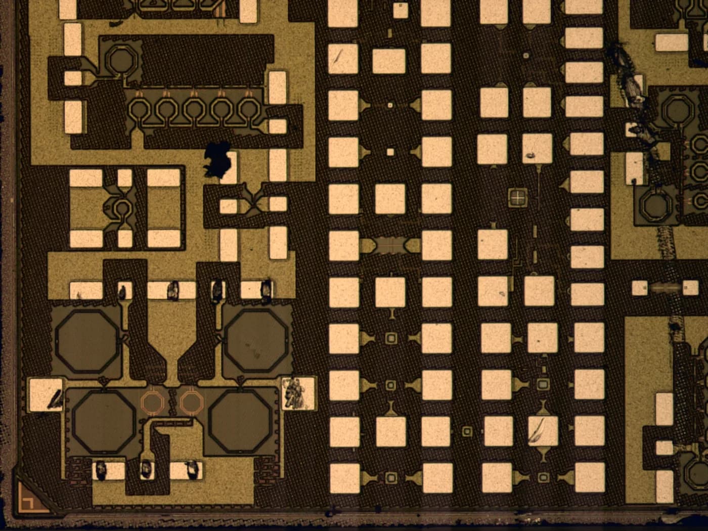 CanSemi — representative silicon and device imagery from programs we support